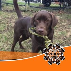 Meet your Posher, Lynn